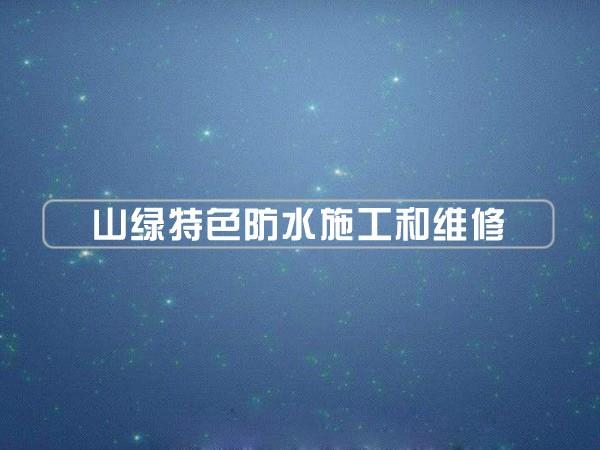 时博在线(中国)特色防水施工和维修